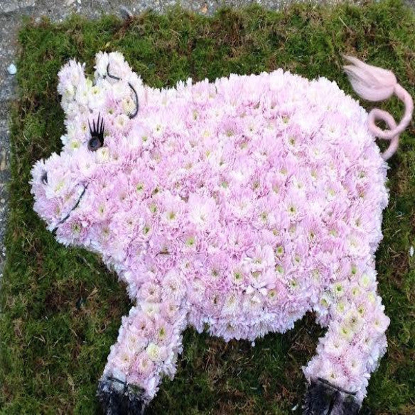 Piglet Funeral Tribute.